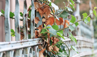 metal-fence