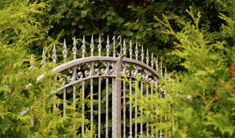 wrought-iron-railings