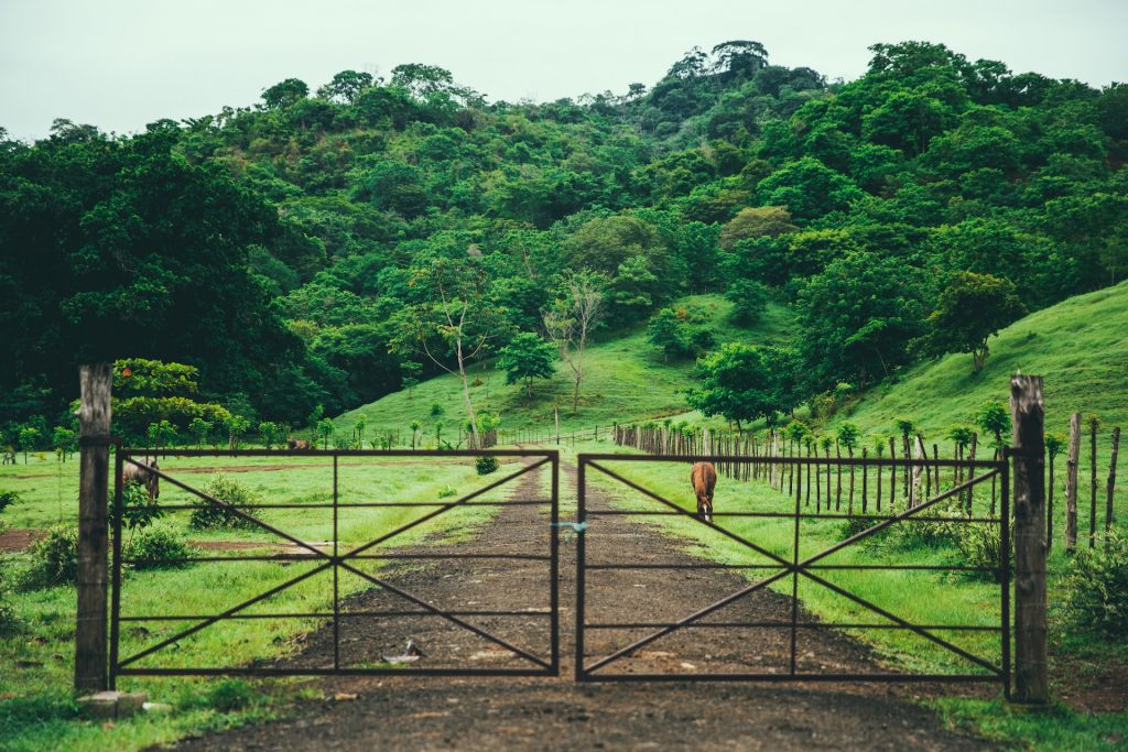 Iron Driveway Gates for Farm Properties