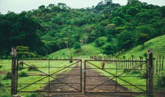 Iron Driveway Gates for Farm Properties